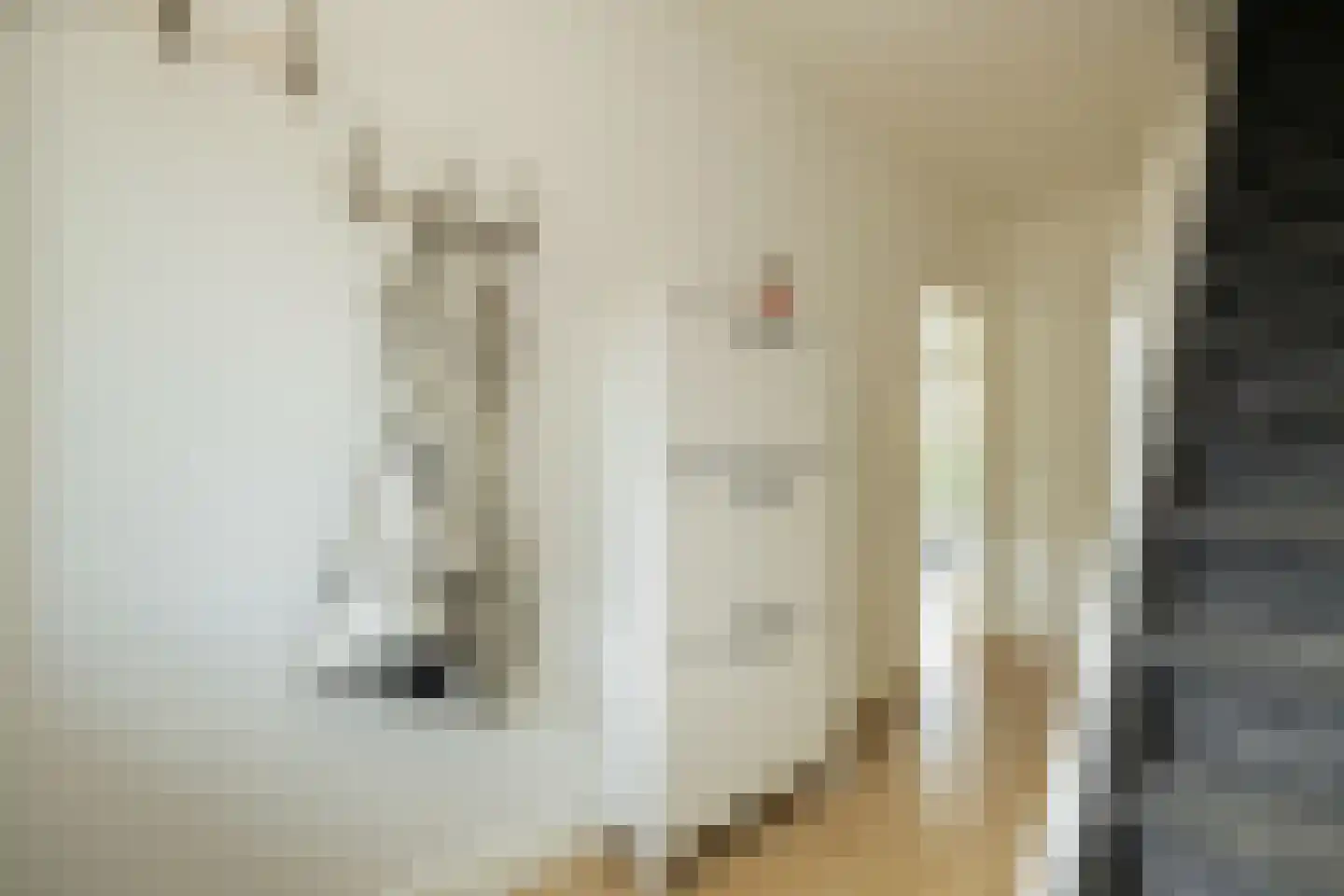 Beneluxlaan 56 Schoonhoven thumbnail 13