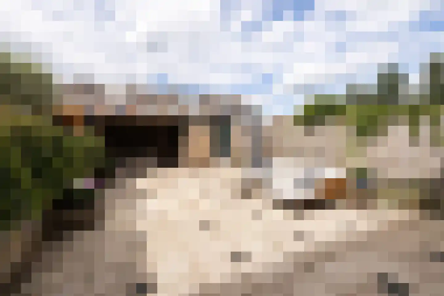Beneluxlaan 56 Schoonhoven thumbnail 53