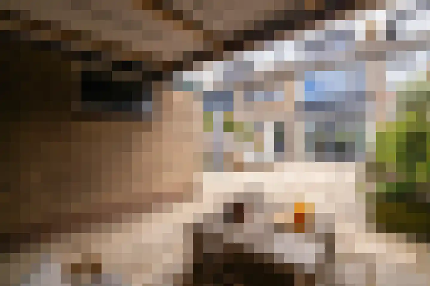 Beneluxlaan 56 Schoonhoven thumbnail 56