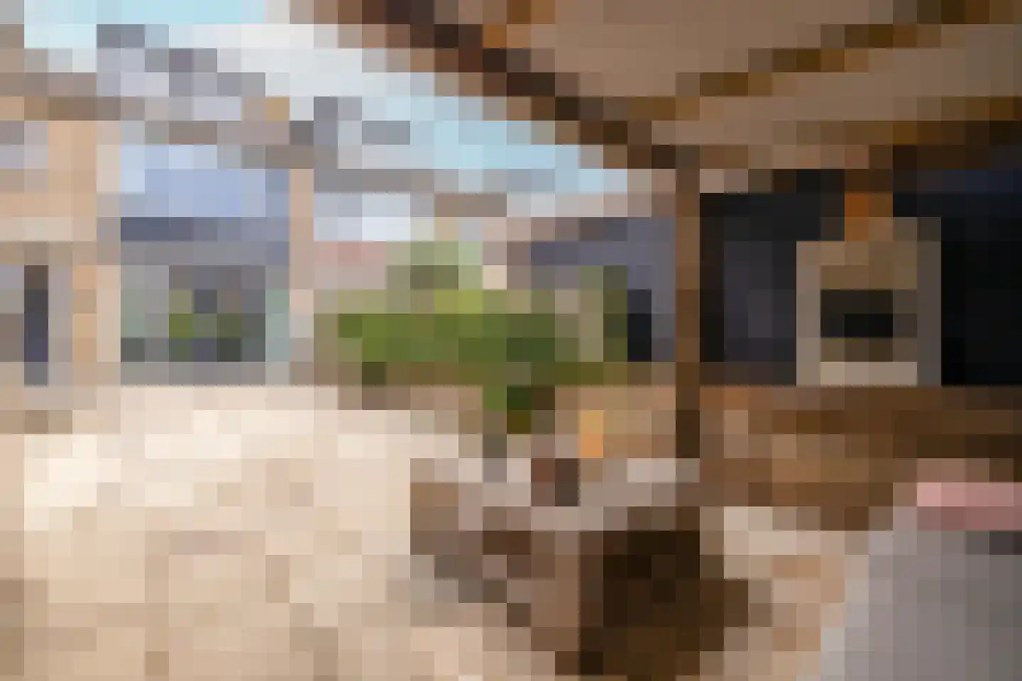Beneluxlaan 56 Schoonhoven thumbnail 57