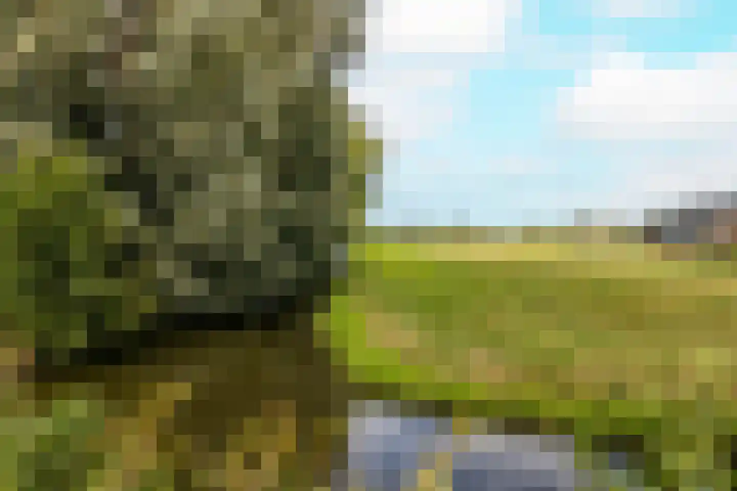 Beneluxlaan 56 Schoonhoven thumbnail 60