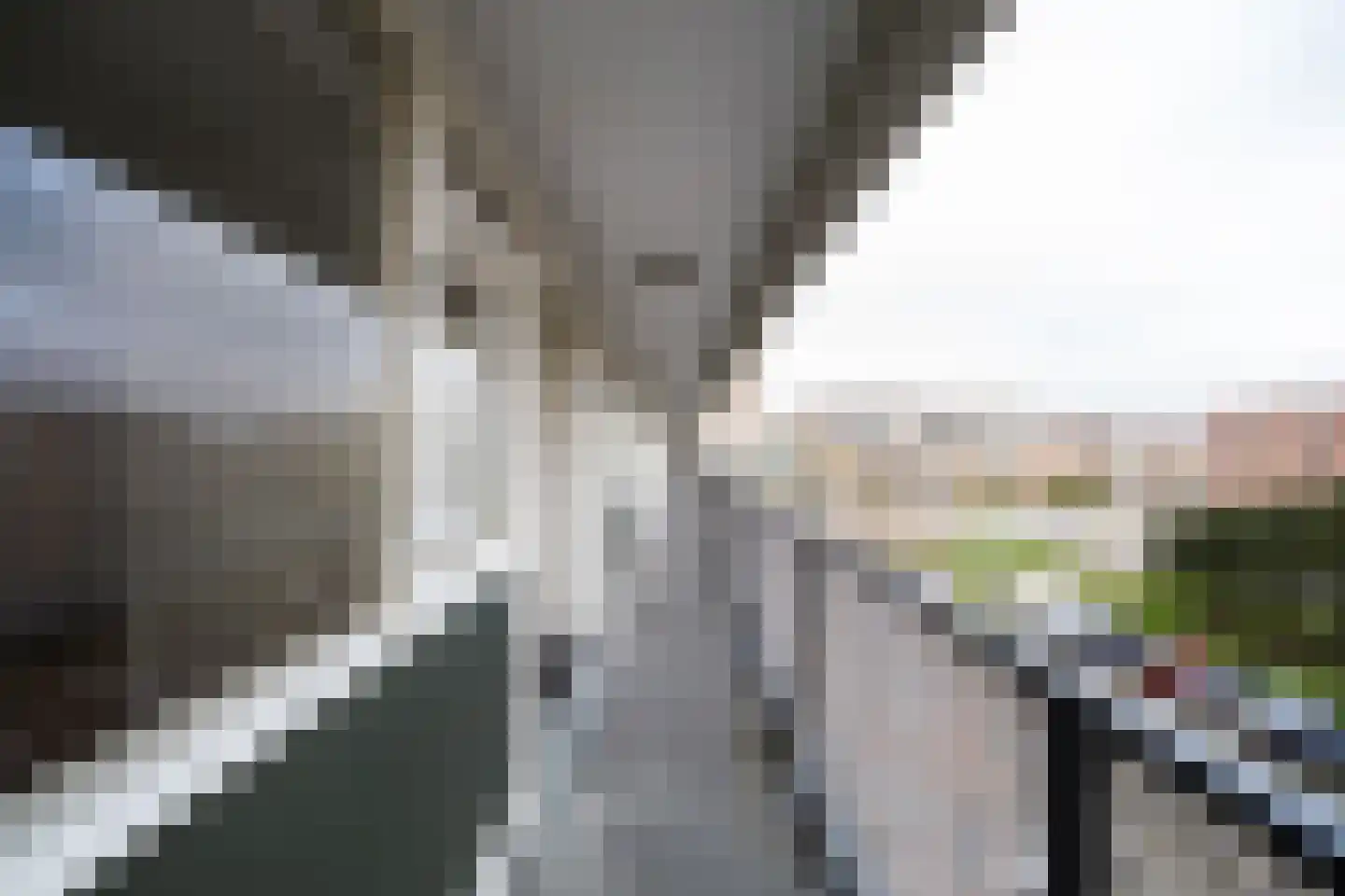 Beneluxlaan 60 Utrecht thumbnail 35