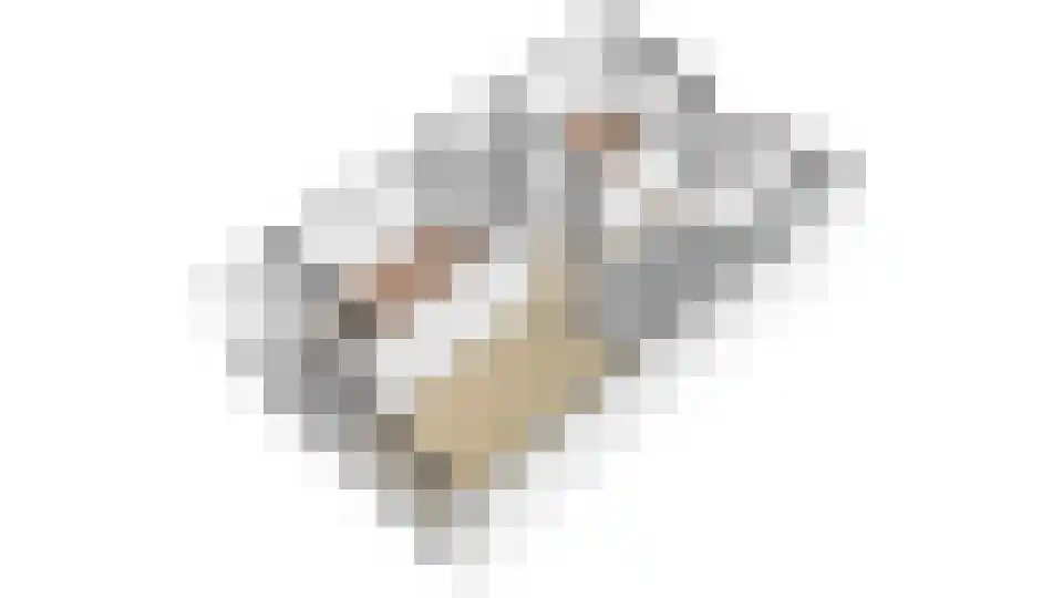 Beneluxlaan 60 Utrecht thumbnail 47