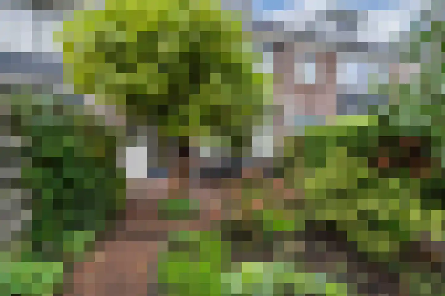 Beneluxlaan 605 Heemskerk thumbnail 41