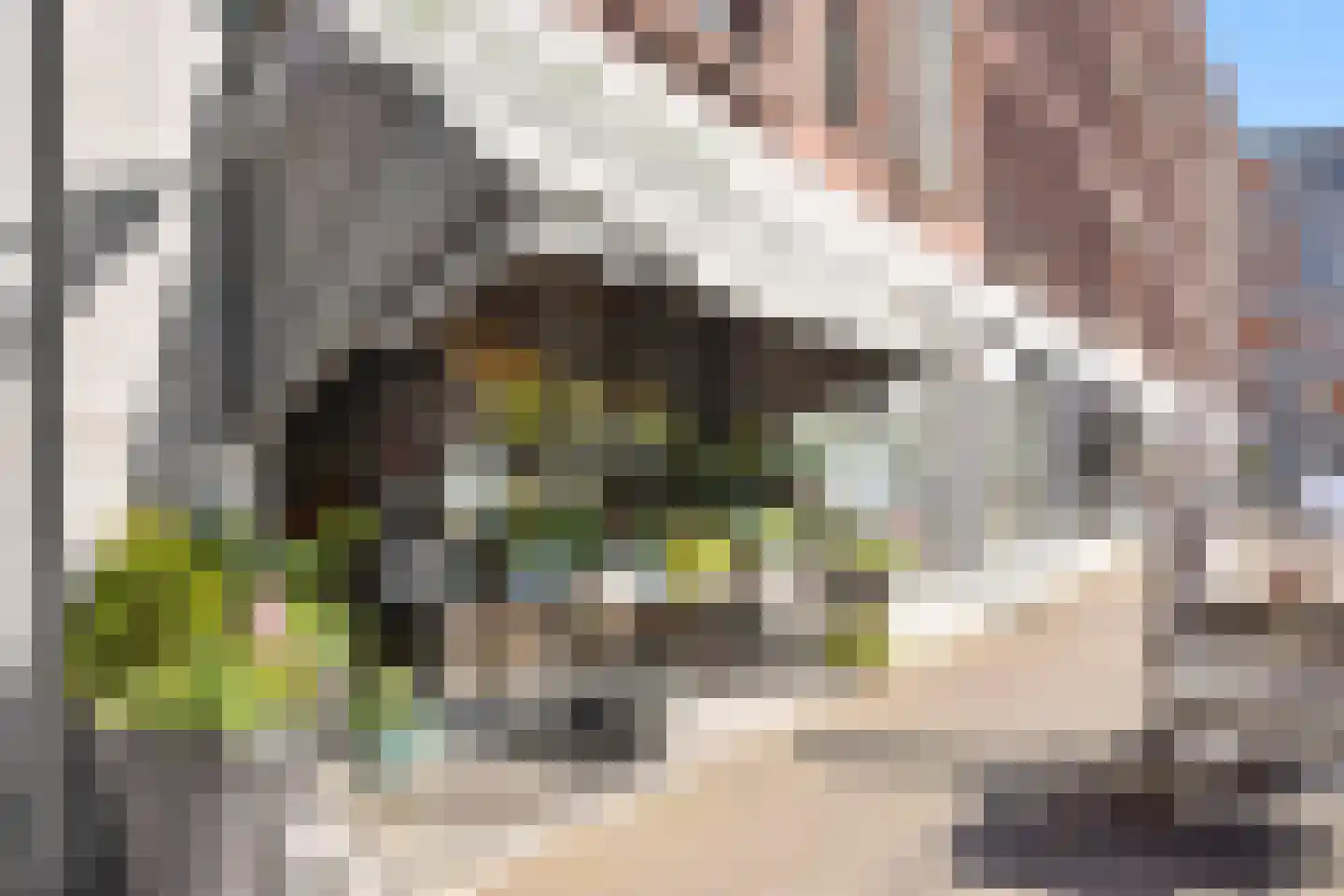 Beneluxlaan 610 Almere thumbnail 53
