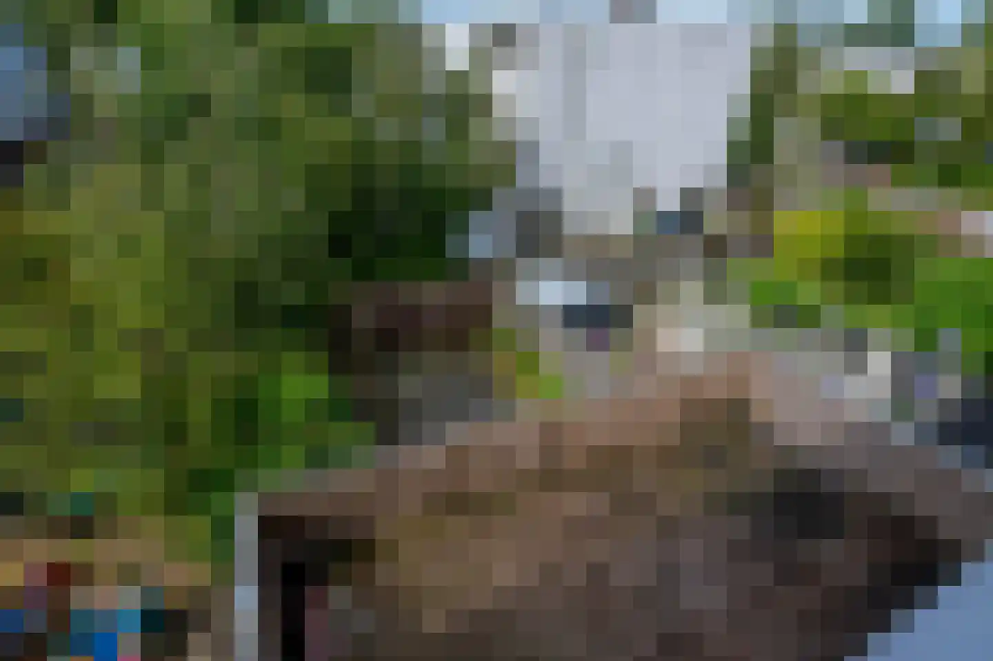 Beneluxlaan 63 Heerlen thumbnail 11