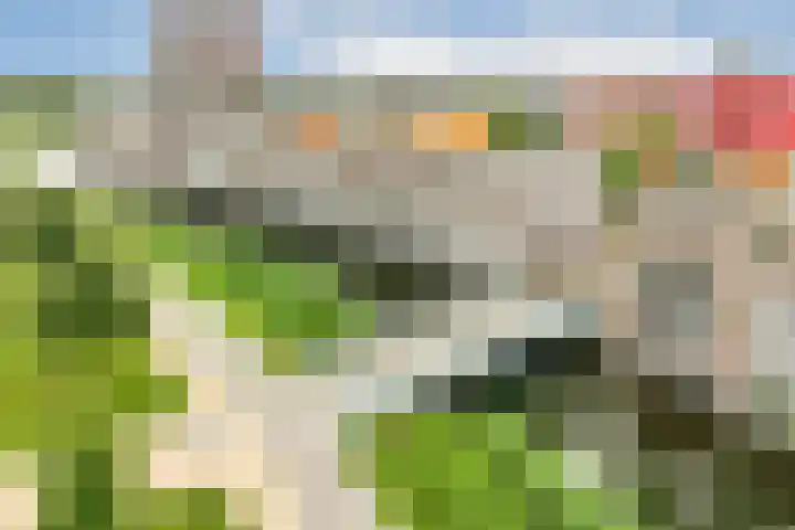 Beneluxlaan 634 Almere thumbnail 38