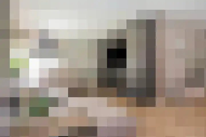 Beneluxlaan 64 Geleen thumbnail 15