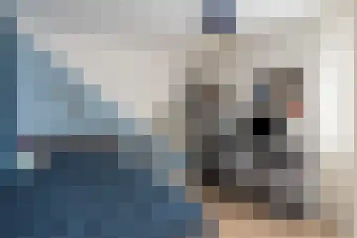 Beneluxlaan 64 Geleen thumbnail 39