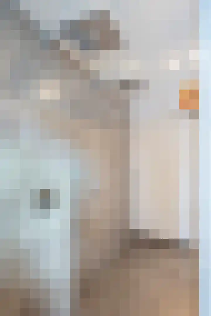 Beneluxlaan 64 Geleen thumbnail 43