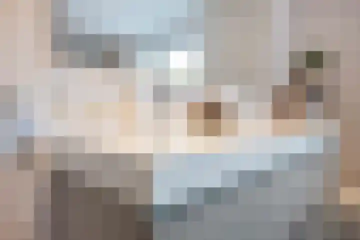 Beneluxlaan 64 Geleen thumbnail 47