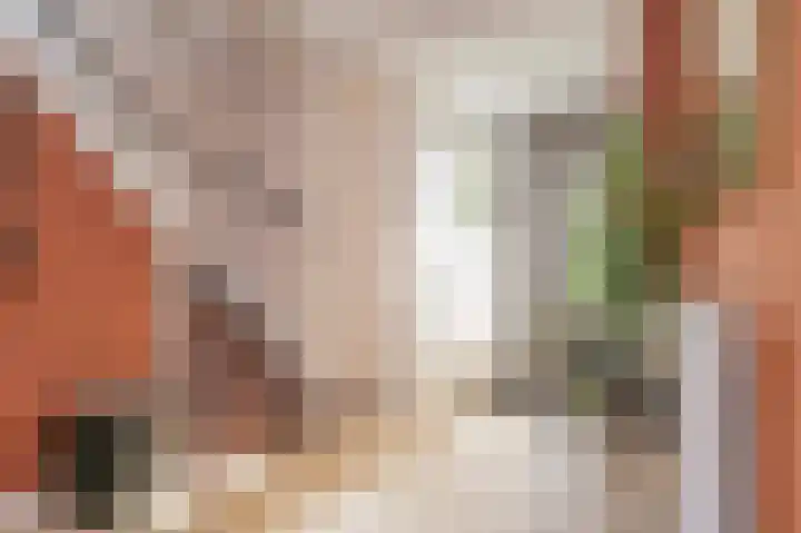 Beneluxlaan 64 Geleen thumbnail 8