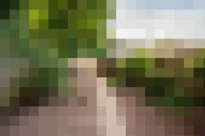 Beneluxlaan 64 Harderwijk thumbnail 22