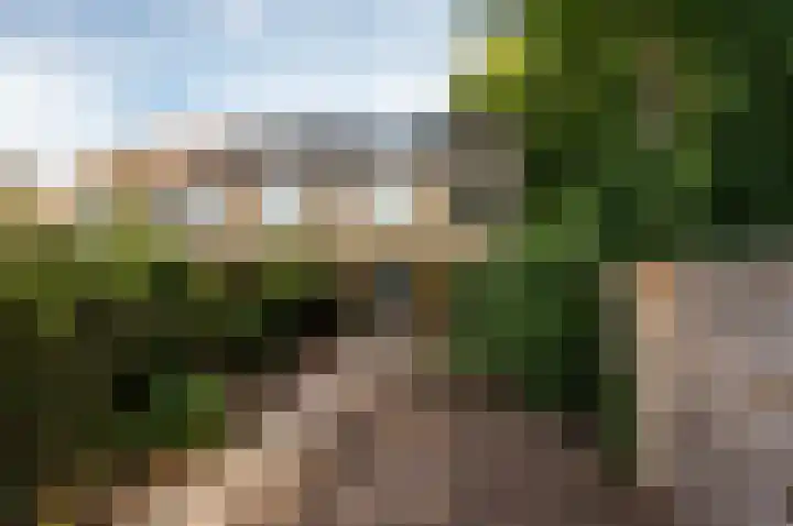 Beneluxlaan 64 Harderwijk thumbnail 23