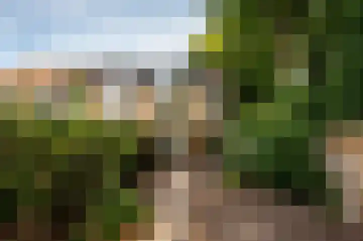 Beneluxlaan 64 Harderwijk thumbnail 24