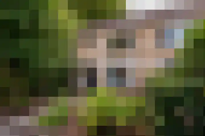 Beneluxlaan 64 Harderwijk thumbnail 25