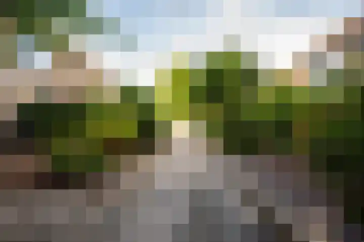Beneluxlaan 64 Harderwijk thumbnail 26