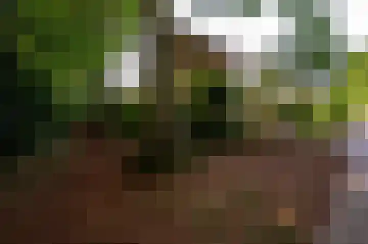 Beneluxlaan 64 Harderwijk thumbnail 27