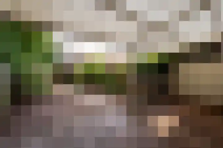 Beneluxlaan 64 Harderwijk thumbnail 5