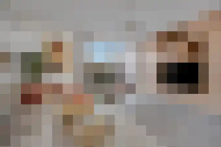 Beneluxlaan 668 Almere thumbnail 6