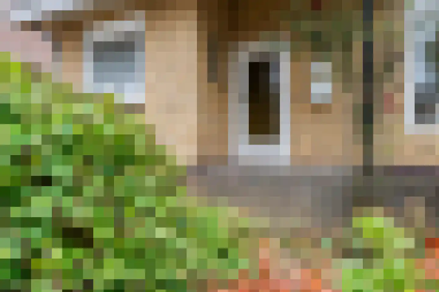 Beneluxlaan 7 A Grevenbicht thumbnail 10