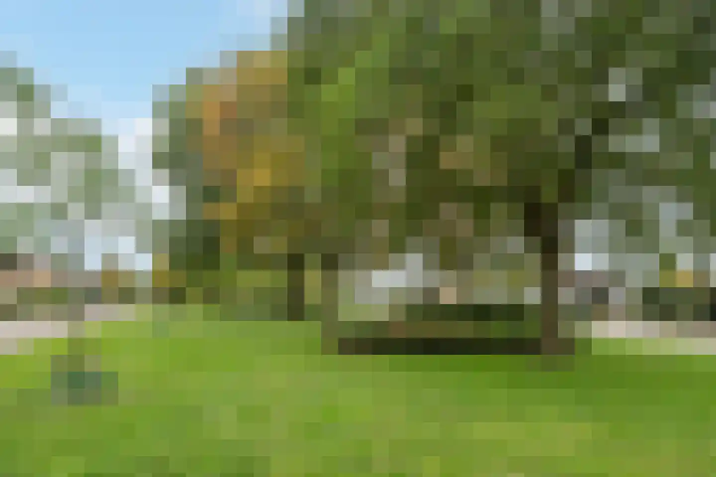 Beneluxlaan 7 A Grevenbicht thumbnail 20