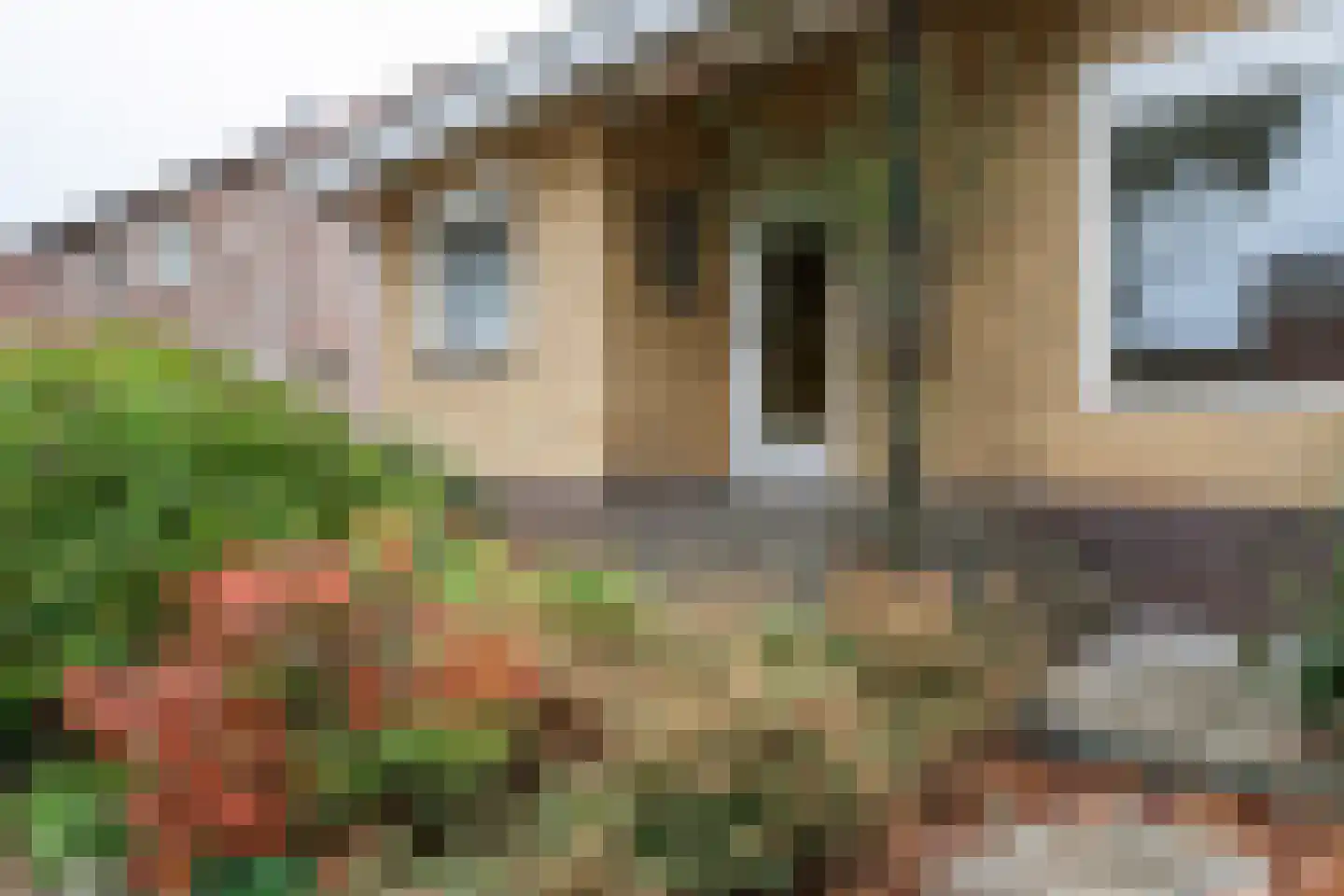 Beneluxlaan 7 A Grevenbicht thumbnail 9