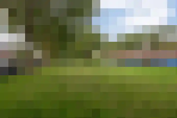 Beneluxlaan 71 Beverwijk thumbnail 39
