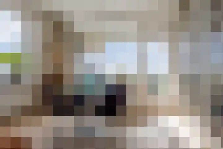 Beneluxlaan 71 Beverwijk thumbnail 9