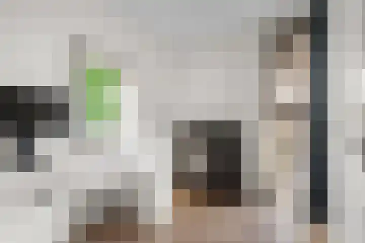 Beneluxlaan 718 Almere thumbnail 32