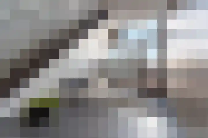 Beneluxlaan 718 Almere thumbnail 6