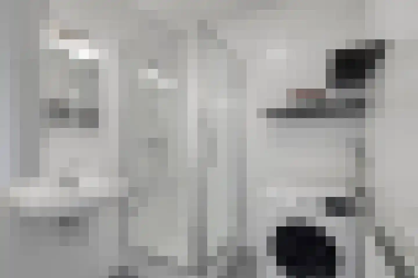 Beneluxlaan 72 10 Tilburg thumbnail 26