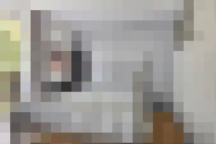 Beneluxlaan 72 14 Tilburg thumbnail 11
