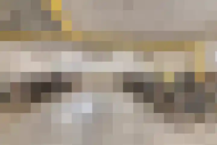 Beneluxlaan 72 14 Tilburg thumbnail 22