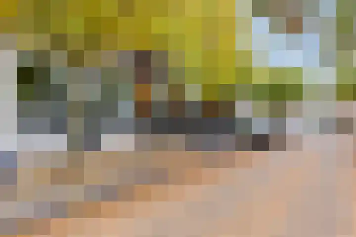 Beneluxlaan 72 14 Tilburg thumbnail 25