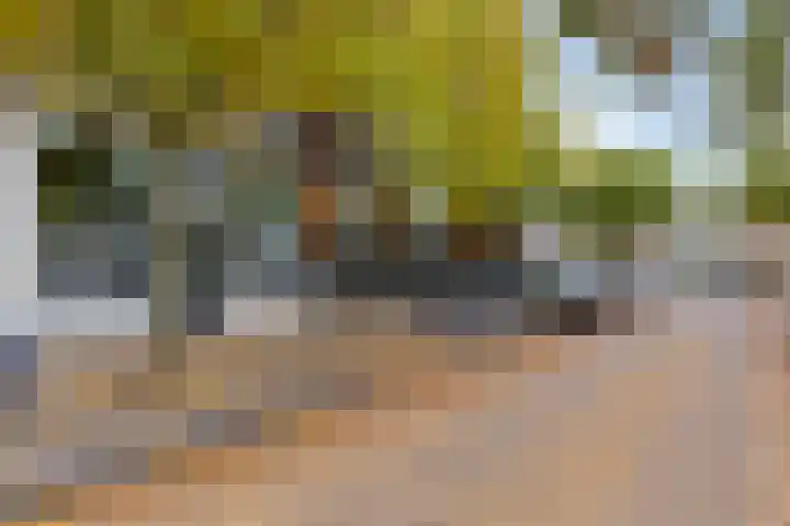Beneluxlaan 72 14 Tilburg thumbnail 26