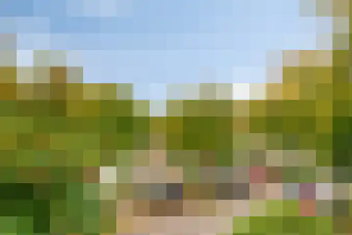 Beneluxlaan 72 14 Tilburg thumbnail 29