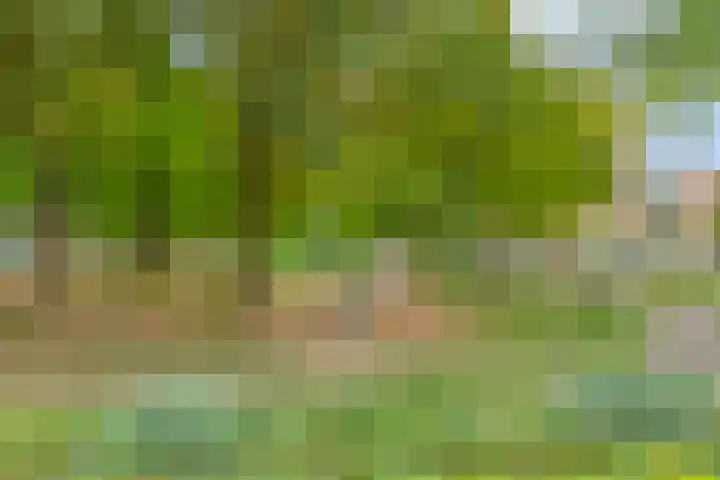 Beneluxlaan 72 14 Tilburg thumbnail 31