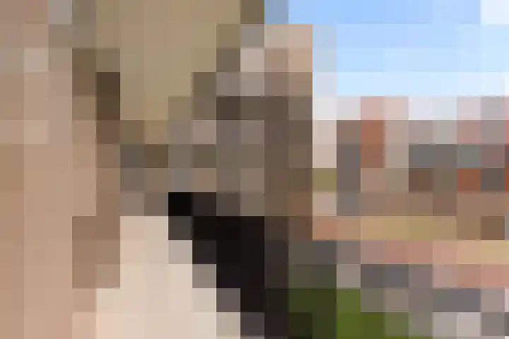 Beneluxlaan 724 Almere thumbnail 30