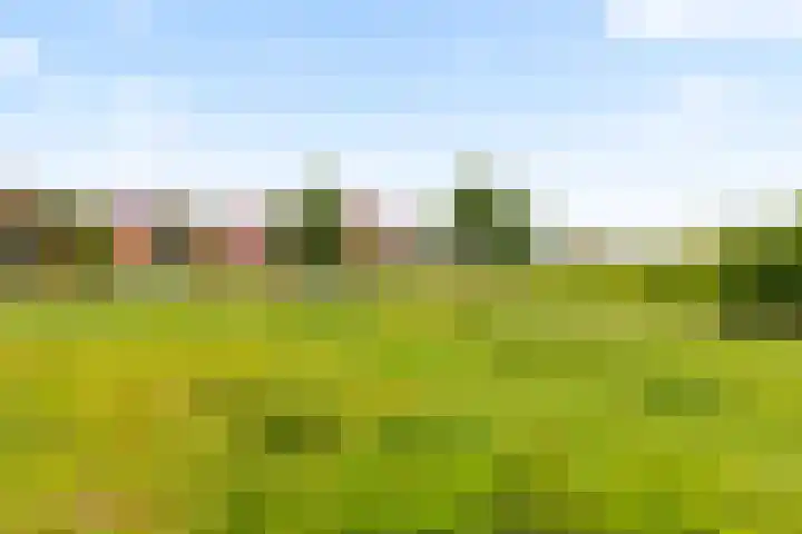 Beneluxlaan 724 Almere thumbnail 36