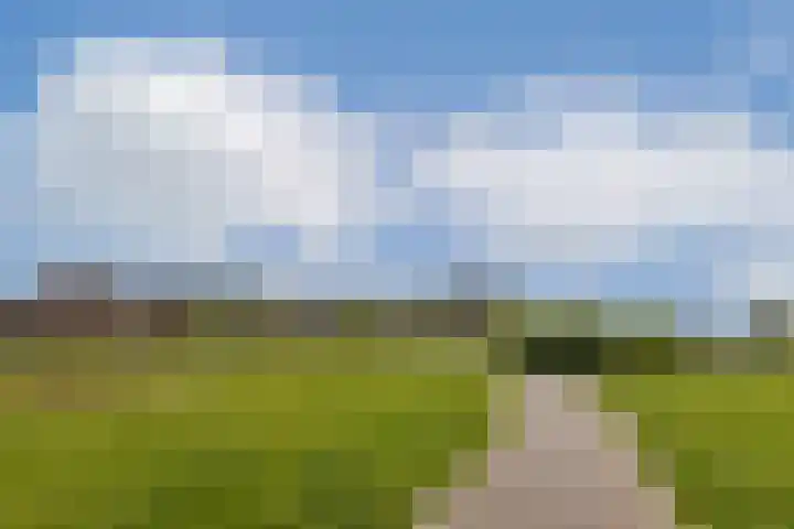 Beneluxlaan 728 Almere thumbnail 22