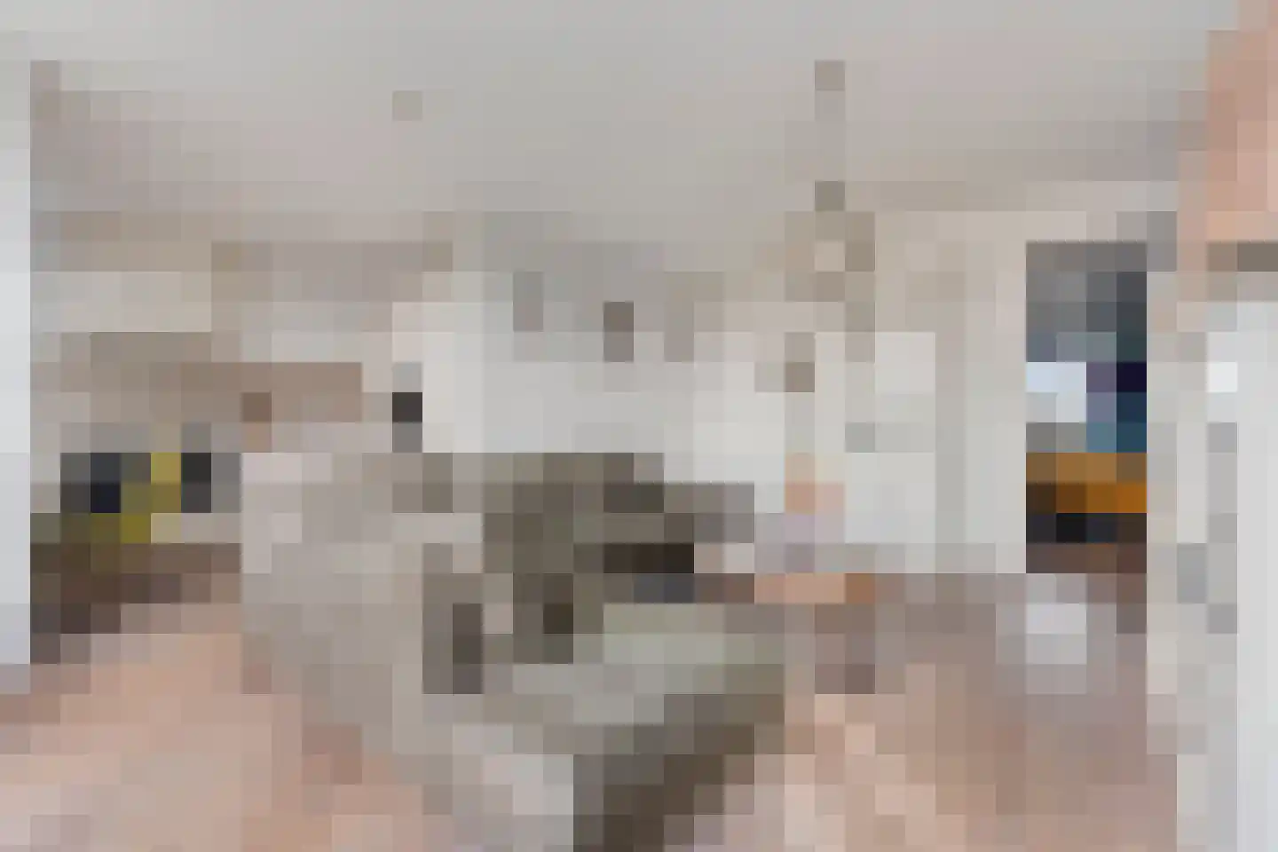 Beneluxlaan 758 Almere thumbnail 7