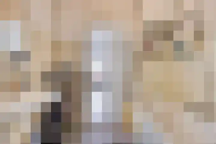 Beneluxlaan 76 Utrecht thumbnail 16