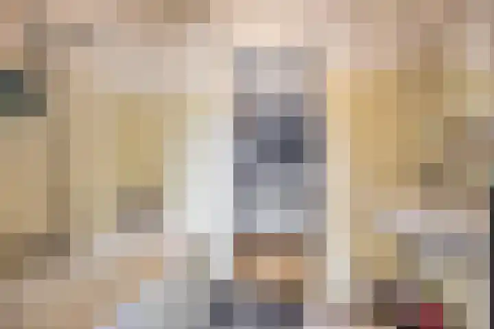 Beneluxlaan 76 Utrecht thumbnail 17