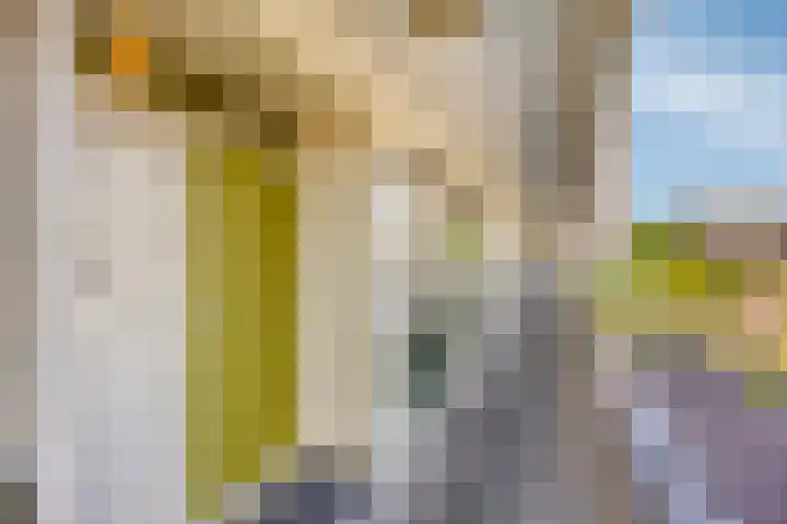 Beneluxlaan 76 Utrecht thumbnail 21