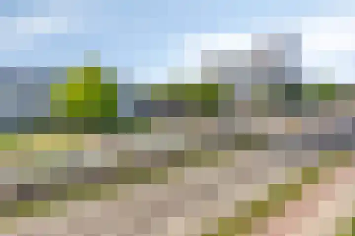 Beneluxlaan 76 Utrecht thumbnail 26