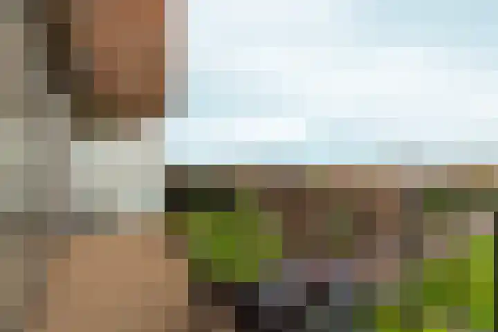 Beneluxlaan 784 Almere thumbnail 21