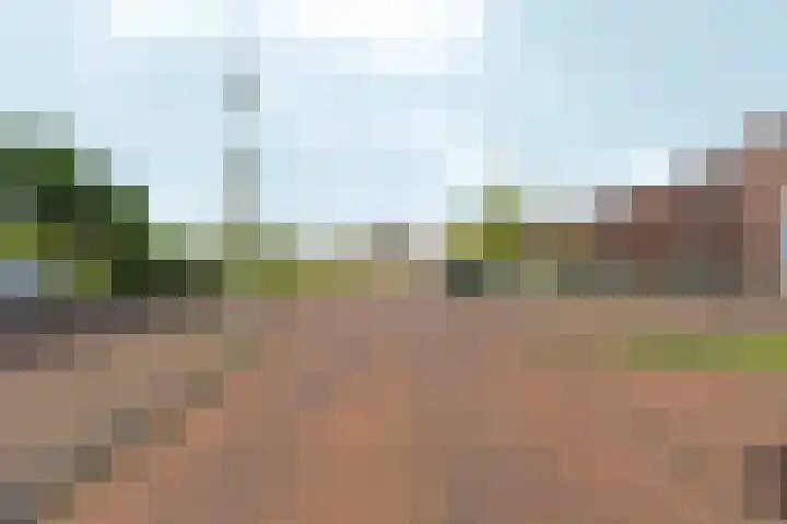 Beneluxlaan 784 Almere thumbnail 34