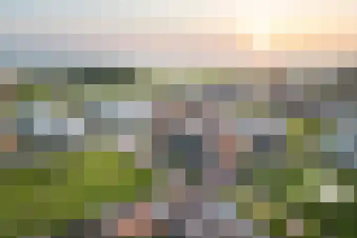 Beneluxlaan 784 Almere thumbnail 36