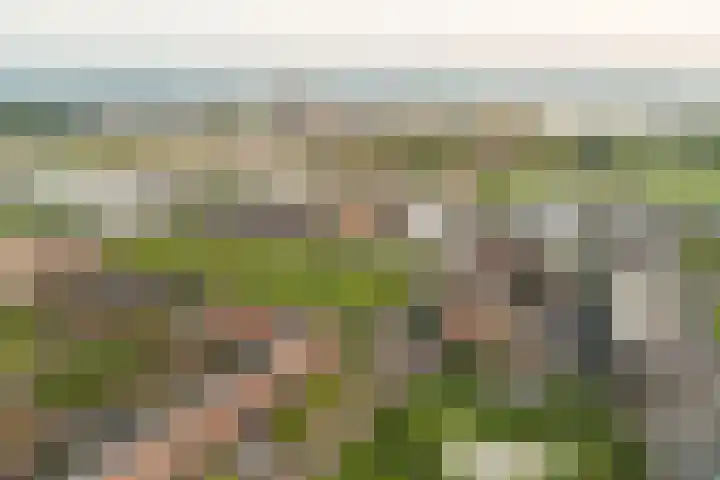 Beneluxlaan 784 Almere thumbnail 38